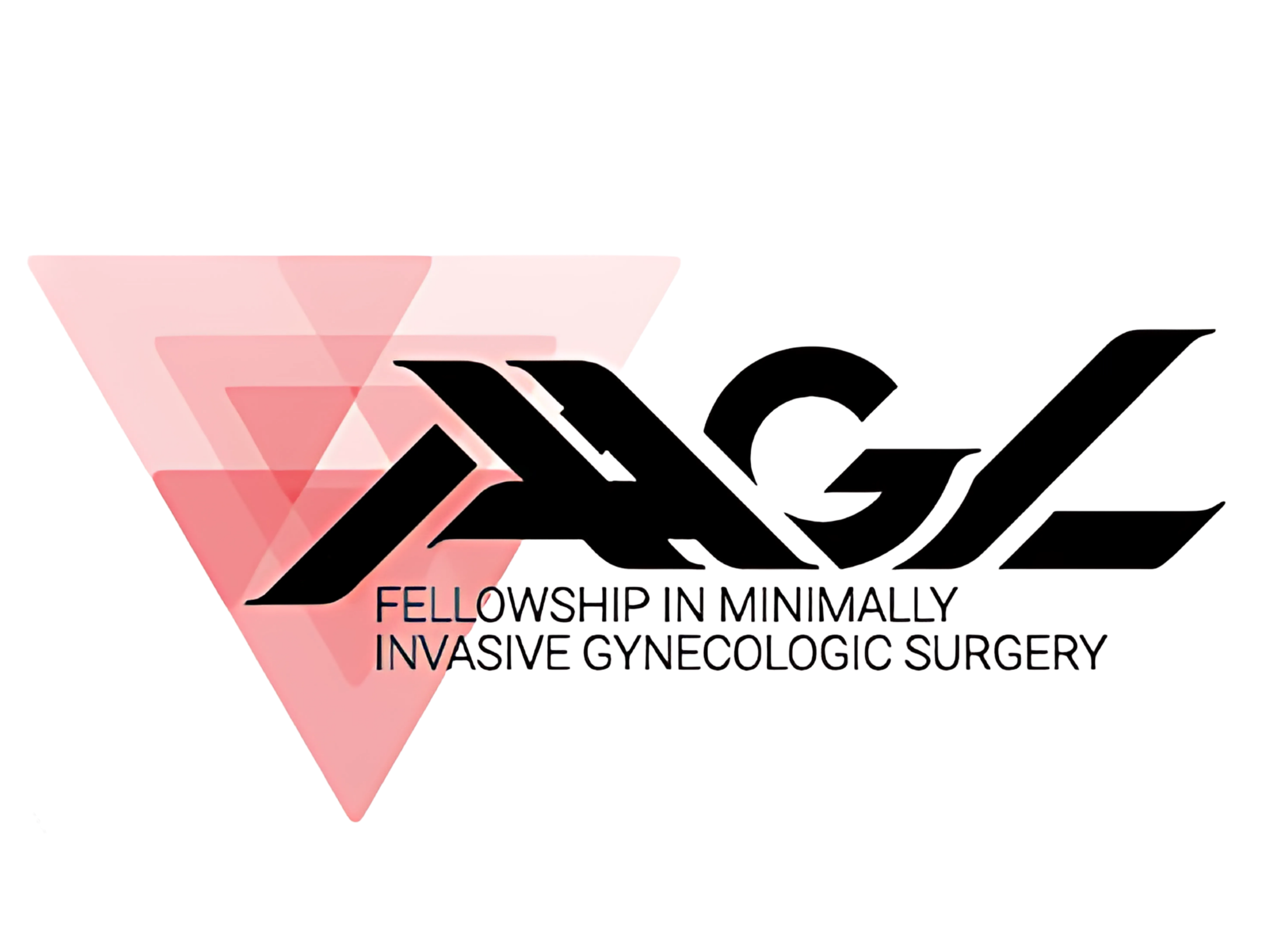 minamily invasive surgery (1)